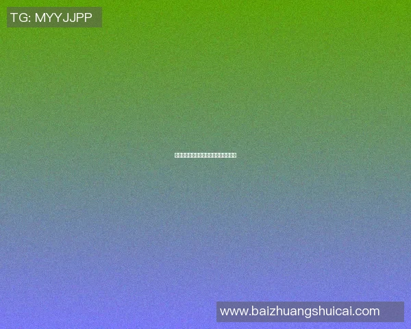 小熊玩偶篮球明星的梦想之旅与成长故事